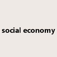 social economy是什么意思
