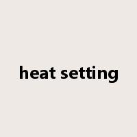 heat setting是什么意思