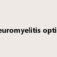 neuromyelitis optica是什么意思