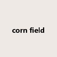 corn field是什么意思