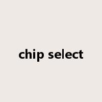 chip select是什么意思