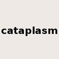 cataplasm是什么意思