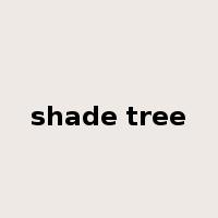 shade tree是什么意思