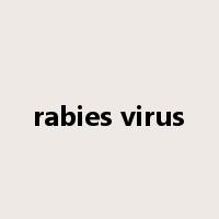 rabies virus是什么意思