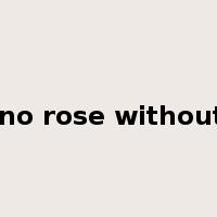 there is no rose without a thorn是什么意思