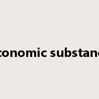 economic substance是什么意思