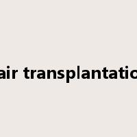 hair transplantation是什么意思