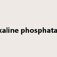 alkaline phosphatase是什么意思