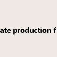 Aggregate production function是什么意思
