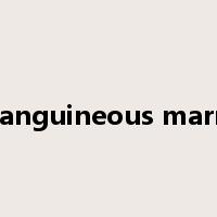 consanguineous marriage是什么意思