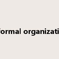 informal organization是什么意思