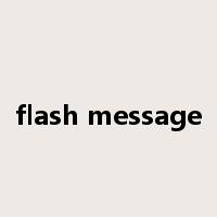 flash message是什么意思