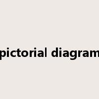 pictorial diagram是什么意思