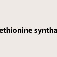methionine synthase是什么意思