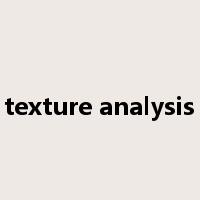 texture analysis是什么意思