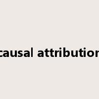 causal attribution是什么意思