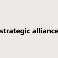 strategic alliance是什么意思