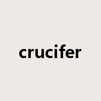 crucifer是什么意思