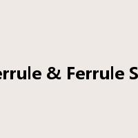 Ferrule & Ferrule Set是什么意思