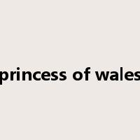 princess of wales是什么意思
