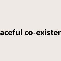 peaceful co-existence是什么意思