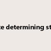 rate determining step是什么意思