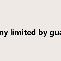 company limited by guarantee是什么意思