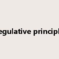 regulative principle是什么意思
