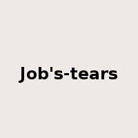 Job's-tears是什么意思