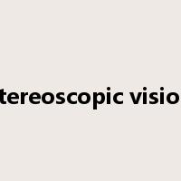 stereoscopic vision是什么意思