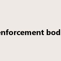 enforcement body是什么意思