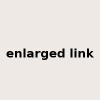 enlarged link是什么意思