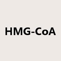 HMG-CoA是什么意思