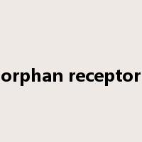 orphan receptor是什么意思