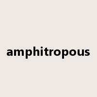 amphitropous是什么意思