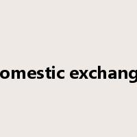 domestic exchange是什么意思