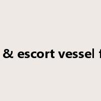 destroyer & escort vessel formation是什么意思