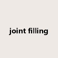 joint filling是什么意思
