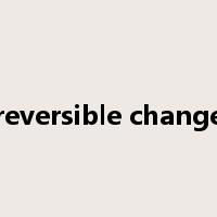 reversible change是什么意思