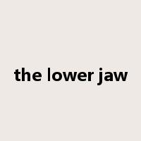 the lower jaw是什么意思