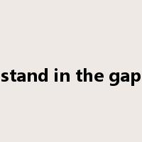 stand in the gap是什么意思