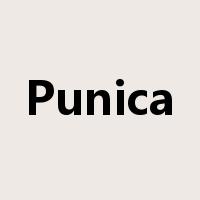 Punica是什么意思