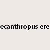 Pithecanthropus erectus是什么意思