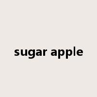 sugar apple是什么意思