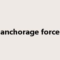 anchorage force是什么意思