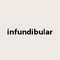 infundibular是什么意思