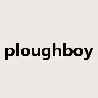 ploughboy是什么意思