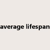 average lifespan是什么意思