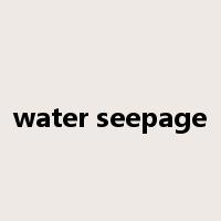 water seepage是什么意思