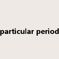 particular period是什么意思